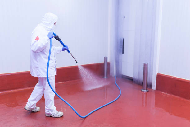 Best Driveway Pressure Washing  in Girard, PA